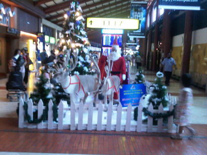 IMG-20111226-00350 (1)