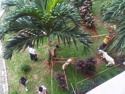 IMG-20111106-00044
