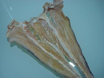 DSC00628