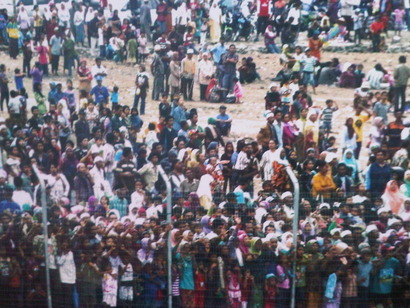 IMG00338-20111021-1310