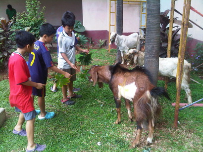 IMG-20111106-00051