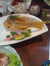 Ekorkuning
