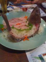 Kerapu