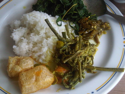 IMG-20111115-00169