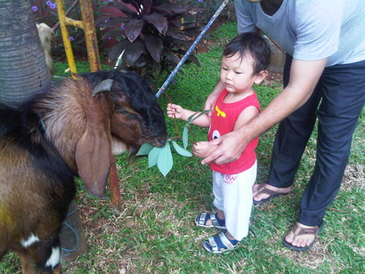 IMG-20111106-00058