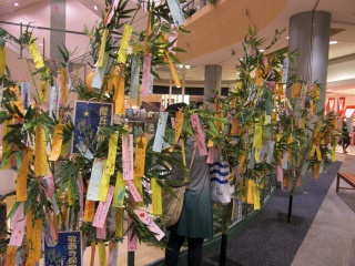 tanabata