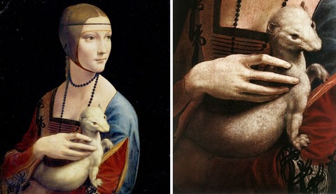 白貂を抱く貴婦人 : Renaissance