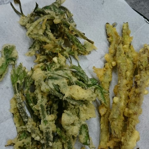 cbd74454.jpg