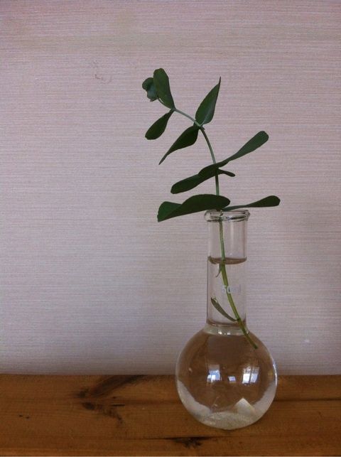 photo:04