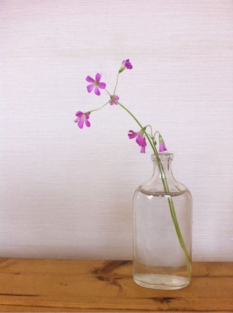 photo:02