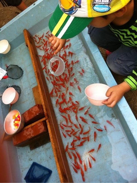 photo:06