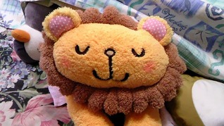 癒されるぅぅぅ〜〜