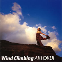 WindClimbing