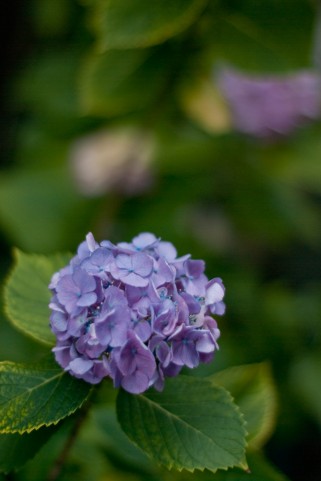 a0001_011657