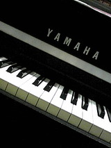 792ec0f6.jpg