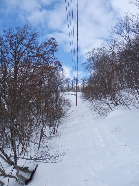 PB230007