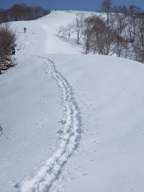 P4290500