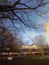c2019f02.jpg