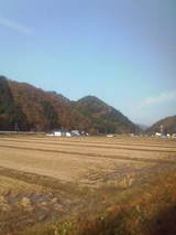 d9ae19b0.jpg