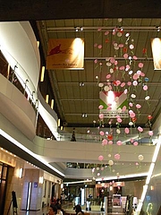 shop 041