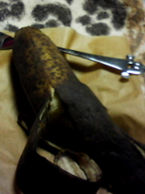 65b17712.jpg