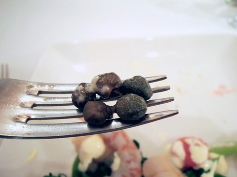 PICT0202
