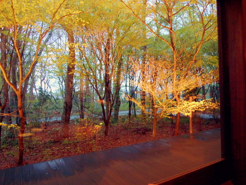 PICT0117