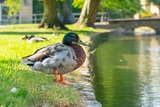 DSCF0661