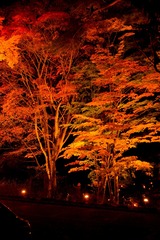 DSCF0841