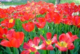 DSCF0852