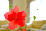 DSCF2405