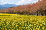 DSCF0145