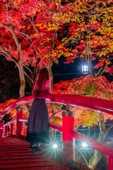 DSCF2528-2