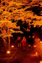 DSCF0850