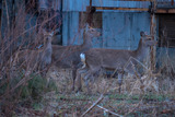 DSCF2880