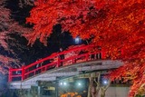 DSCF2518-2