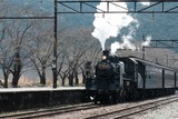 DSCF0770