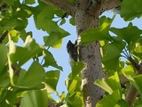 DSCF0791