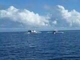 P1020361