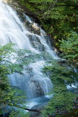 DSCF1310