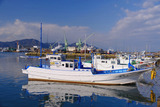 DSCF0517