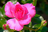 DSCF1686