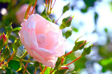 DSCF1640