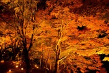DSCF0870