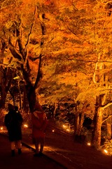 DSCF0857