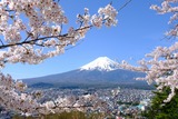 DSCF0395