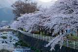 DSCF2890