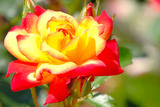 DSCF1634