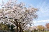 DSCF0169