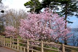 DSC08919